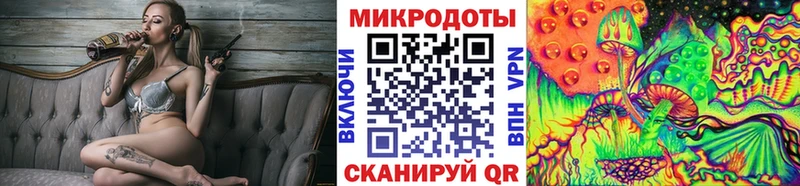 магазин продажи Вольск Галлюциногенные грибы GOLDEN TEACHER